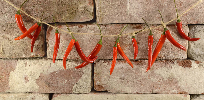 hanging chillies